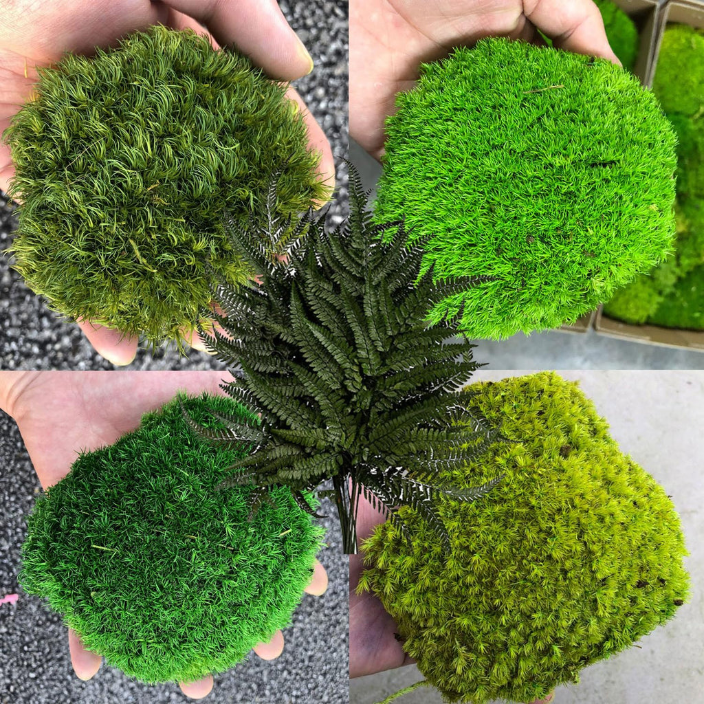prefleur Only Moss No Bowl 4 Farben Mix Pack konservierte Stange Moos Floristen-Dekoration Ostern Tischdekoration Hochzeit (1,5 m², Grün-A, Grün-B, Grün-C, Grün-D, 5 Farn)