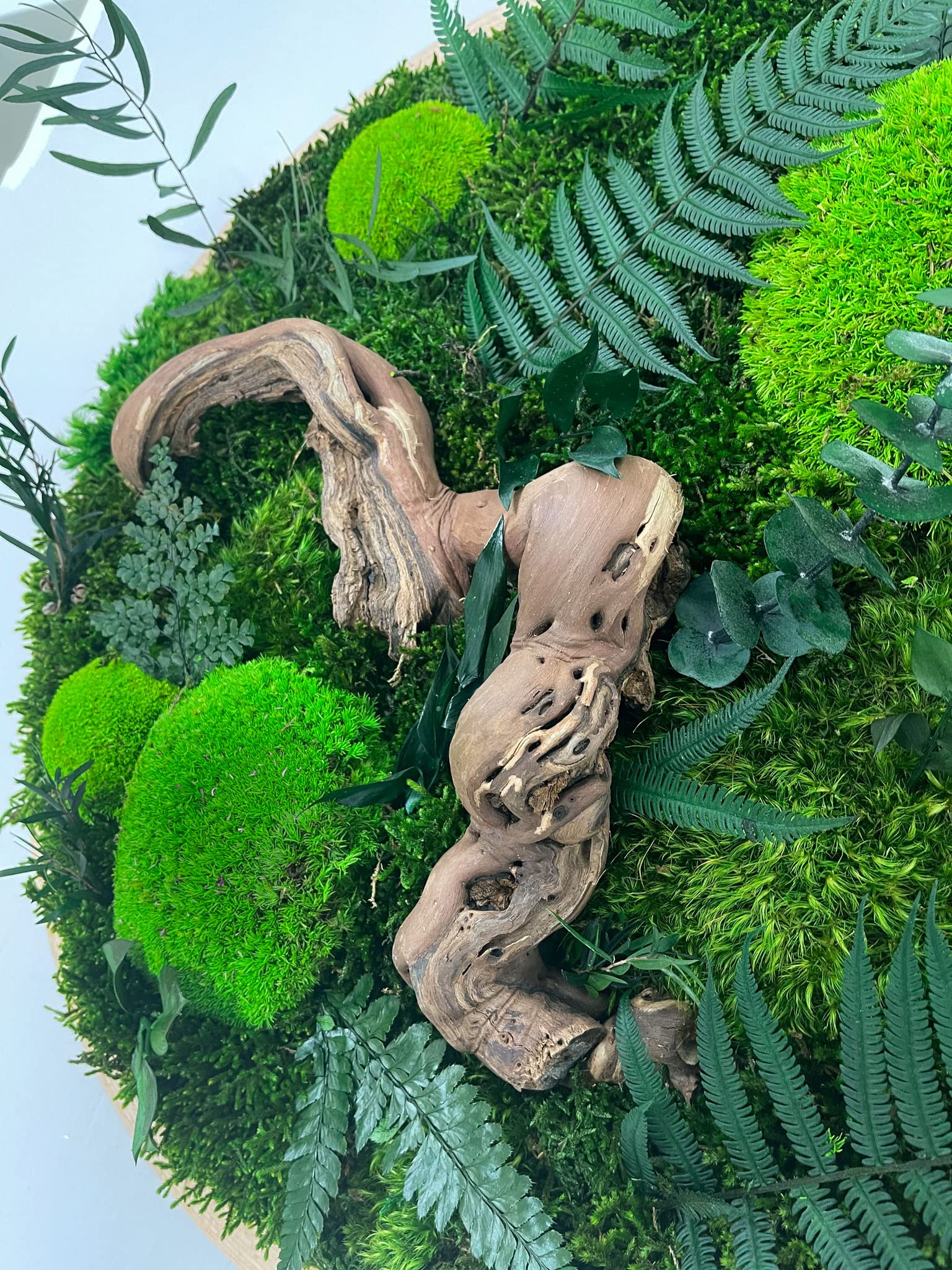 Großer Dschungel Moosbild Rund Holz Rahmen Kreis Gedankenwunder Manufaktur