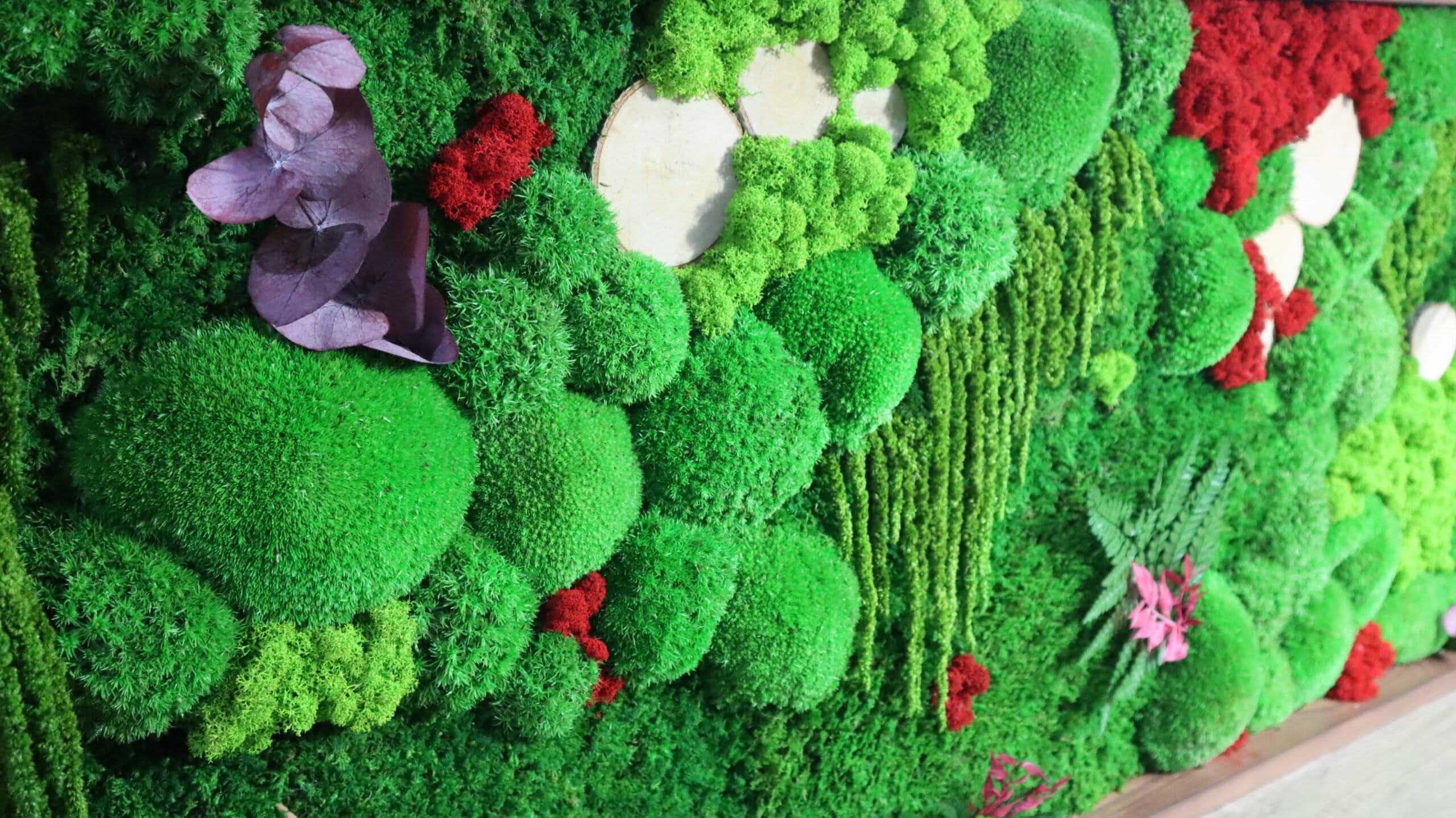 HelloMoss, Moosbild XXL, Moosrahmen, Gepresster Blumenrahmen, Wald an Ihrer Wand, Mooswand Lebend, Grüne Wandkunst, Wanddekoration, Luxus Deko