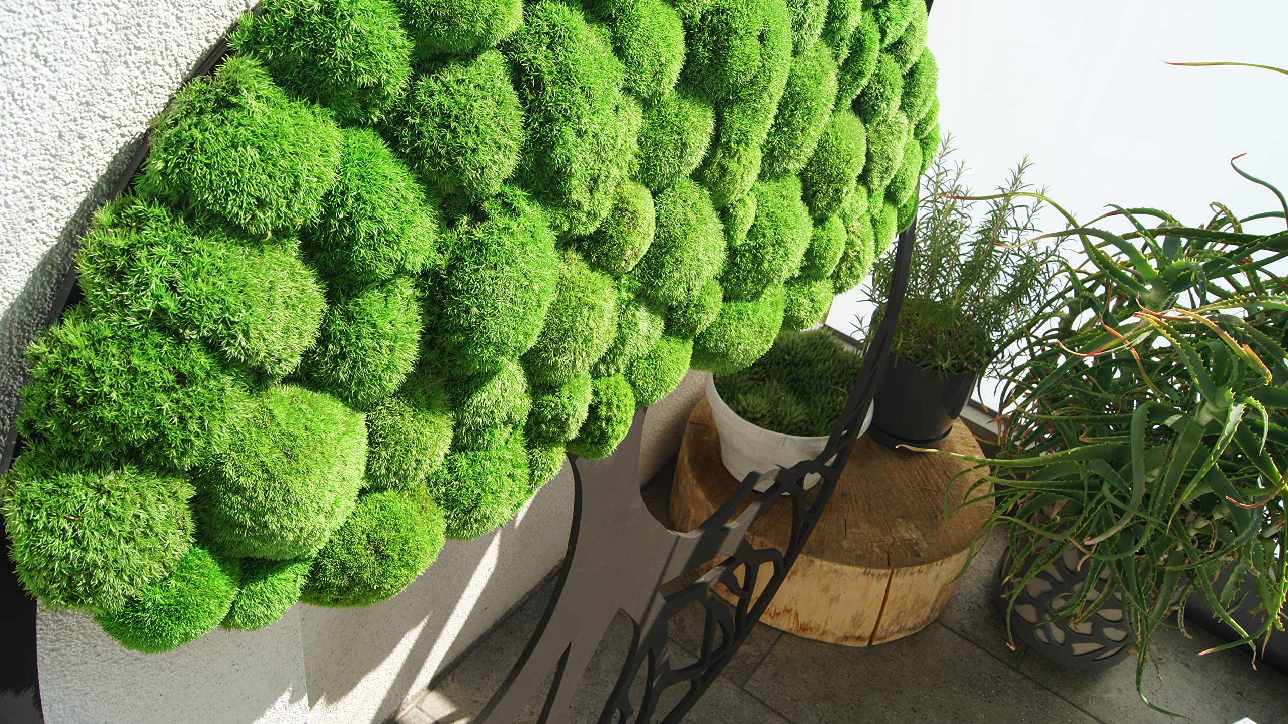 Hello Moss - Moosbild -Wanddeko Moosbilder 40cm in Form Eines Baumes - Schön Aussehender Wand Baum - Wandbild aus Natürlichen Rohstoffen und Deko Moos