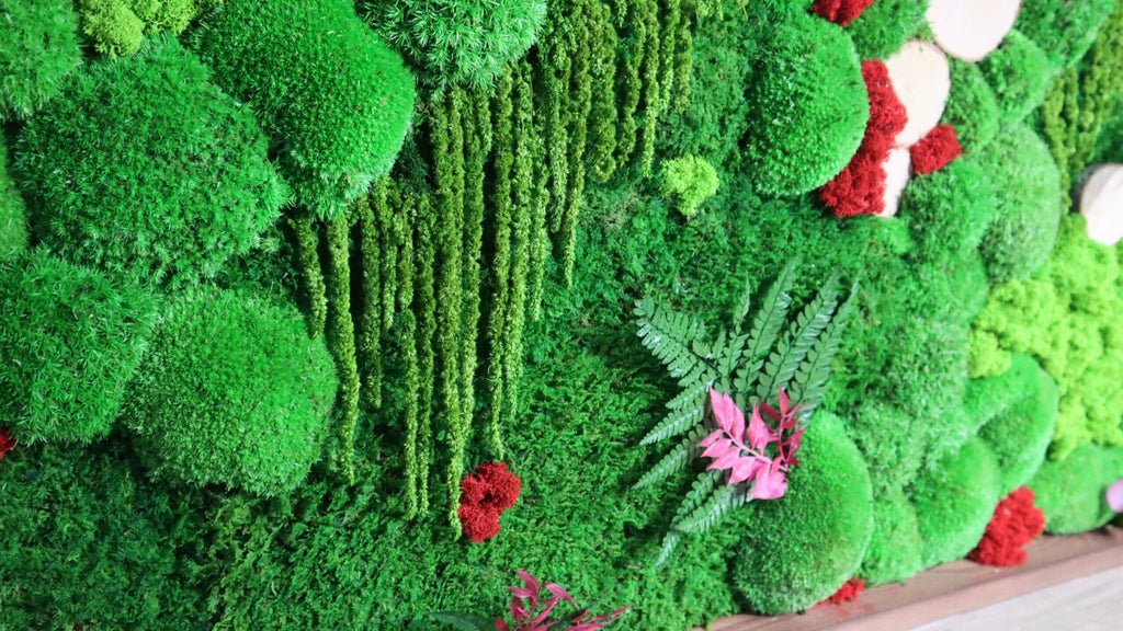 HelloMoss, Moosbild XXL, Moosrahmen, Gepresster Blumenrahmen, Wald an Ihrer Wand, Mooswand Lebend, Grüne Wandkunst, Wanddekoration, Luxus Deko