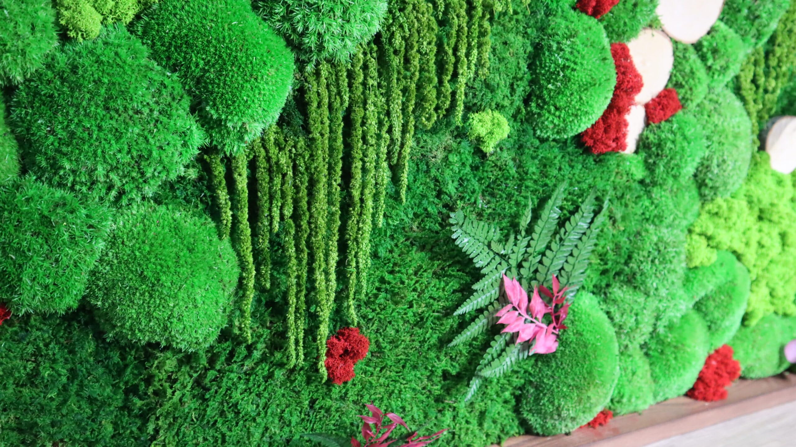 HelloMoss, Moosbild XXL, Moosrahmen, Gepresster Blumenrahmen, Wald an Ihrer Wand, Mooswand Lebend, Grüne Wandkunst, Wanddekoration, Luxus Deko