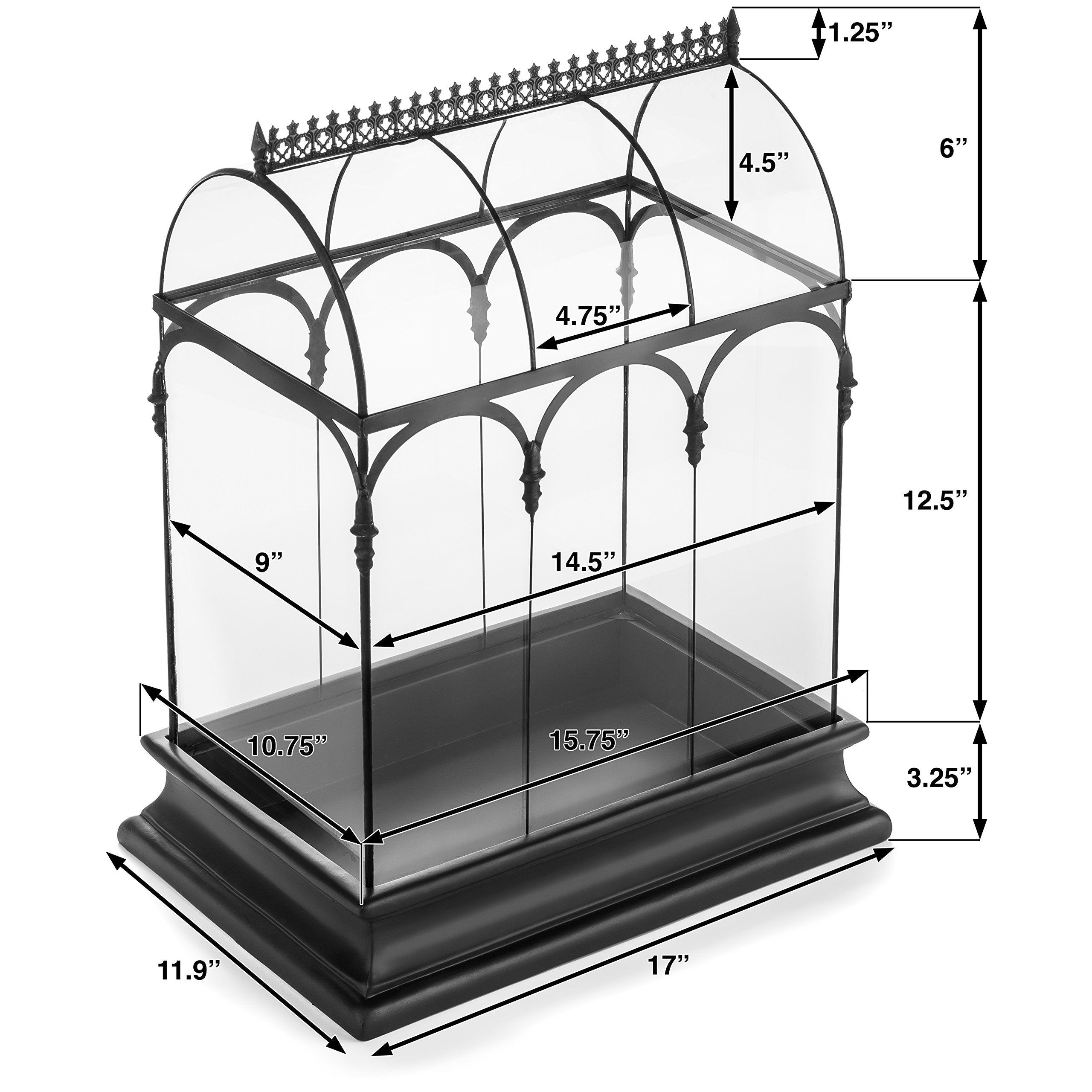 H Potter Terrarium Pflanzgefäß Glas Container Wardian Fall